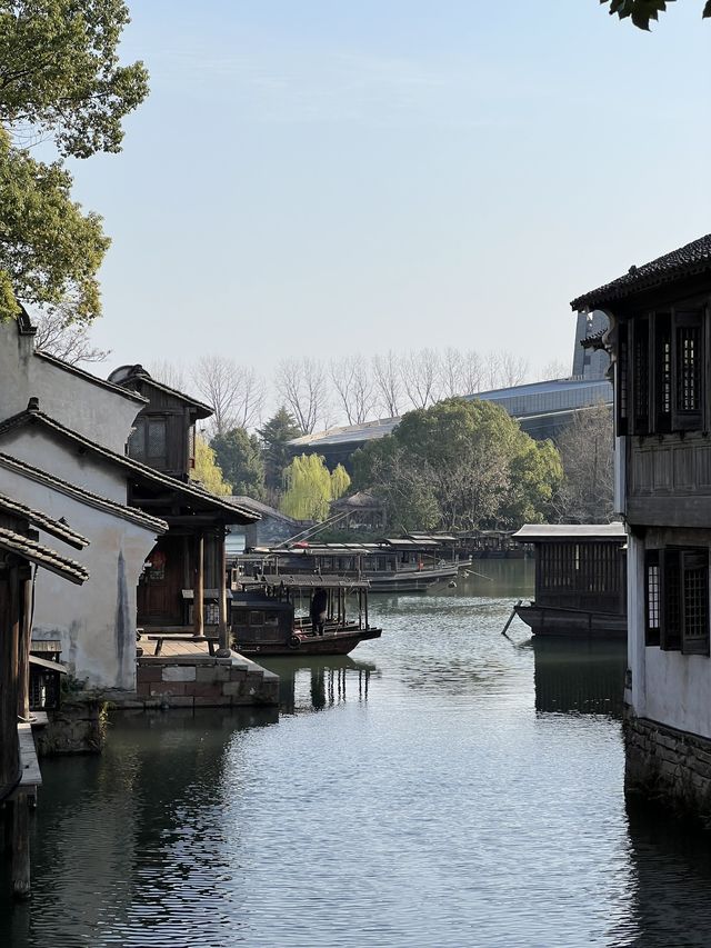 A Memorable Trip to Wuzhen