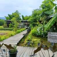 ตาวีฟาร์ม ปากช่อง นครราชสีมา