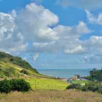 🌊 Yangmeori Coast | Hidden Coastal Treasure & Fresh Seafood Delight 🐚✨