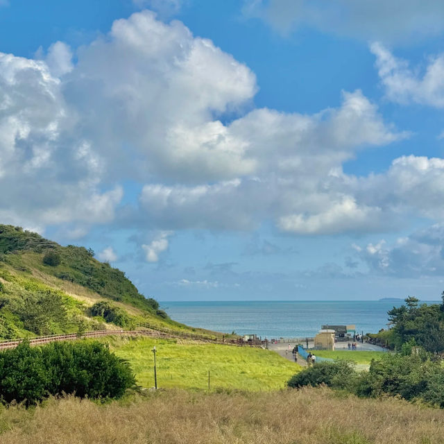 🌊 Yangmeori Coast | Hidden Coastal Treasure & Fresh Seafood Delight 🐚✨