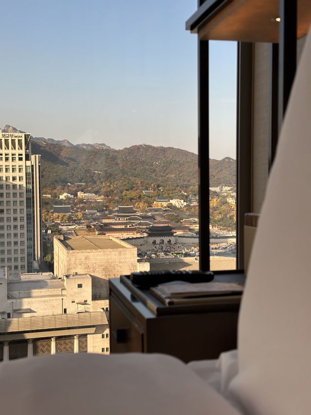 포시즌스 서울 솔직 후기 - 누나 덕분에 무료 숙박! 코너룸 업그레이드 대박 🏙️