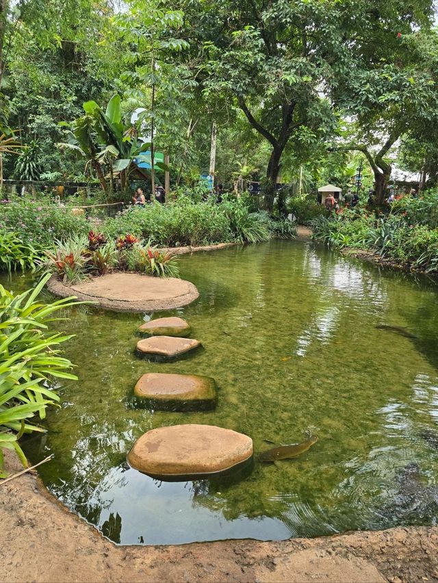 해외여행 브라질 이과수 조류동물원 Parque das Aves
