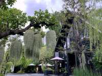 10cc Coffee and Co คาเฟ่เมืองทอง ปากเกร็ด