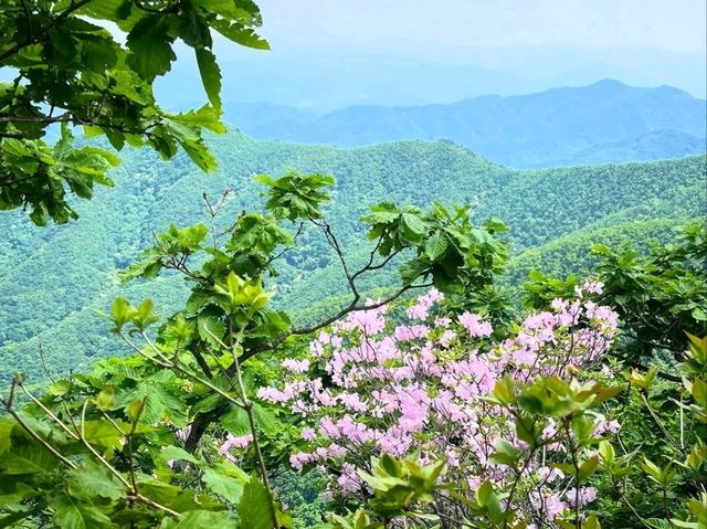 Hike, Big Views, Zero Regrets