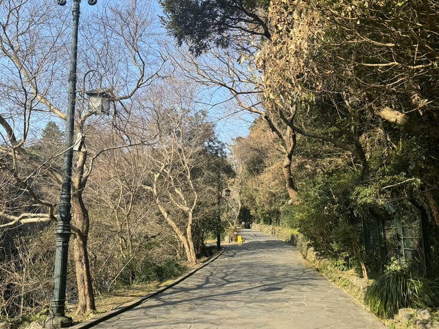 숲길 끝에서 만난 청량한 위로, 제주 천지연폭포