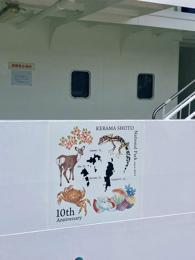【沖縄】渡嘉敷島で慶良間ブルーの海を堪能