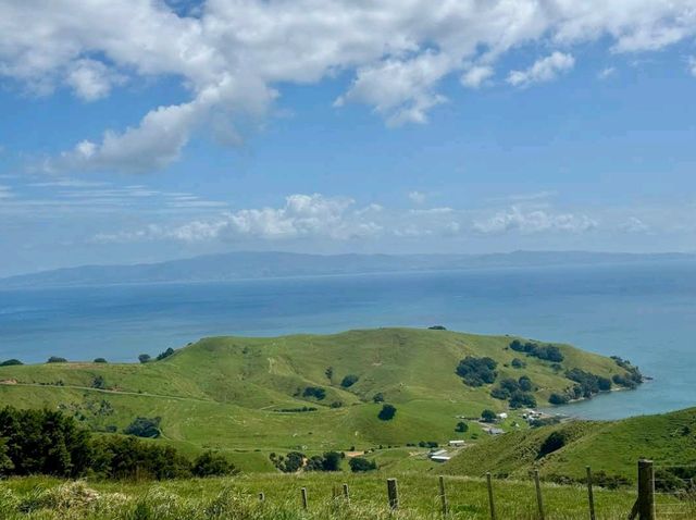 Coromandel Peninsula