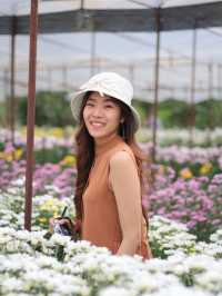 เที่ยวสวนบิ๊กเต้
