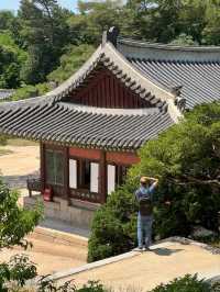 고궁과 도시의 조화, 창경궁 뷰포인트