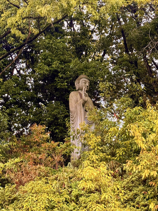 松山｜穿越洞穴抵達千與千尋的異世界？神秘的「風土記之丘」
