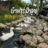🌾✨ บ้านไร่มีสุข สุราษฎร์ธานี