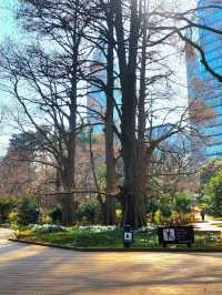 Shinjuku Gyoen National Garden – Tokyo’s Tranquil Heartbeat