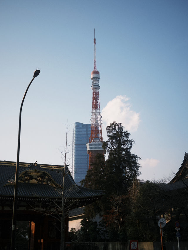 東京鐵塔一日散策：浪漫與懷舊交織的東京地標之旅