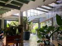 🌳🇹🇭 Galileo Oasis: Bangkok's Hidden Local Art & Culture Hub!