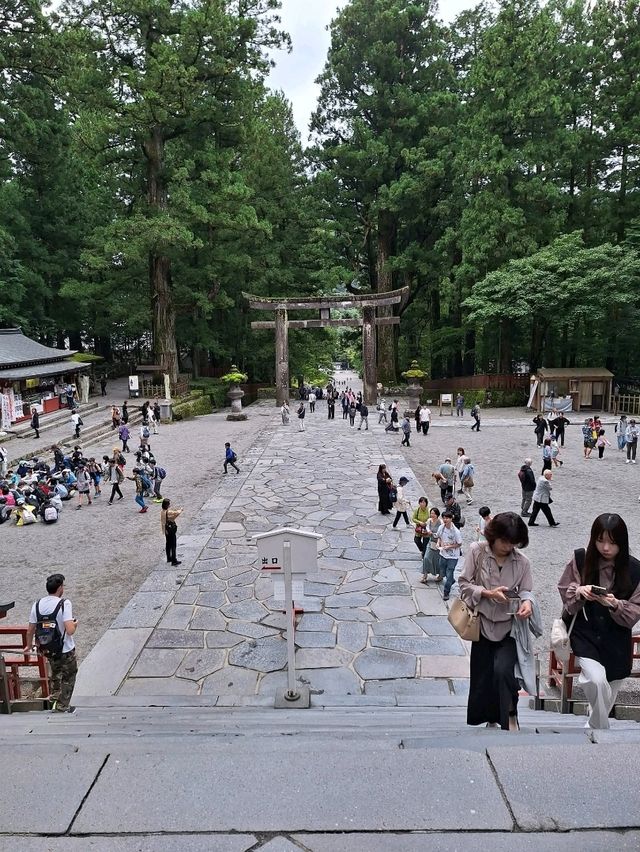 A Grand welcome to Toshogu Shrine, the Omotemon and the Gojunoto Five Story Pagoda