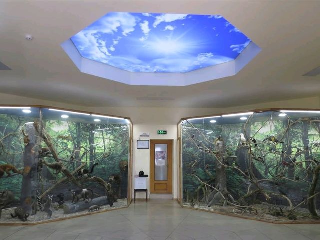 플로브디프 지역 자연 과학 박물관 | 대자연의 신비를 탐험하다 🦕🦋