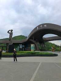 天下山峰何其多  唯有此處峰成林