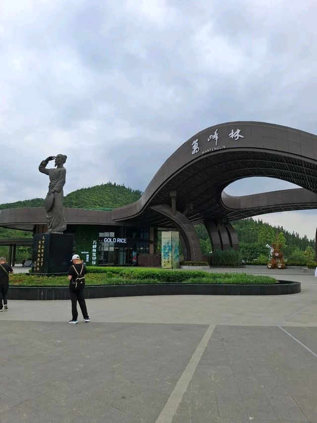 天下山峰何其多  唯有此處峰成林