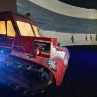 Exploring the Wonders of the International Antarctica Museum