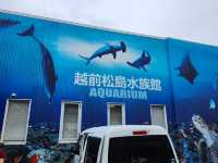 【越前松島水族館でふれあい満喫🐬】海の仲間と過ごす癒しの時間🌊✨