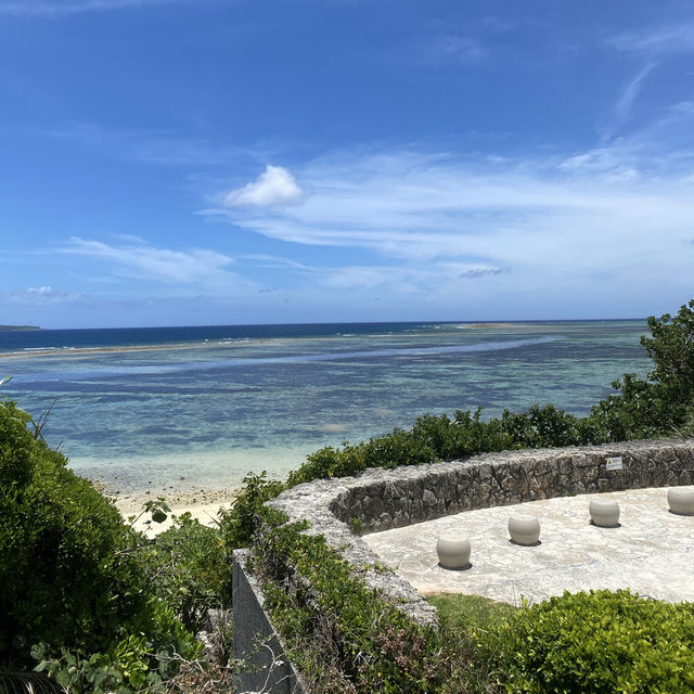 沖繩美麗海水族館：潛入世界最大水槽『黑潮之海』的夢幻藍！」  