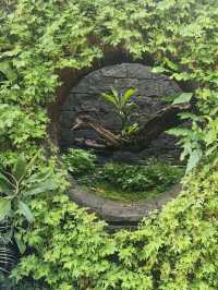 🌸 Chinese Garden Singapore – Your Peaceful Hideout! 🏯🌿