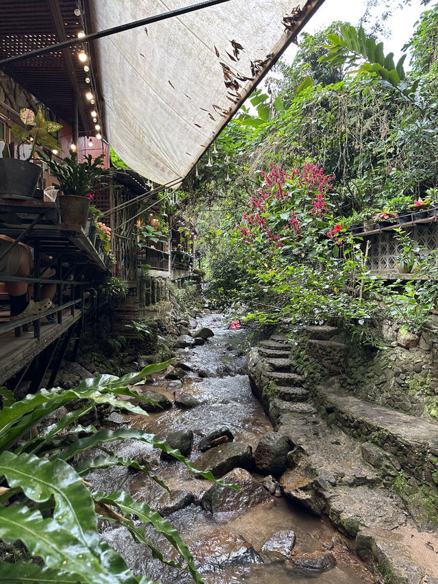 Caffeine, Cool Air & Main Character Vibes at Lud Pud Pa Peng, Mae Kampong