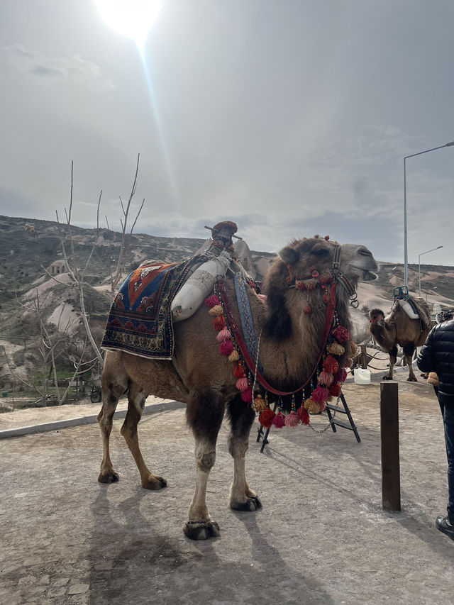 🇹🇷7日間のトルコ旅記録 ～イスタンブールとカッパドキアをめぐる～