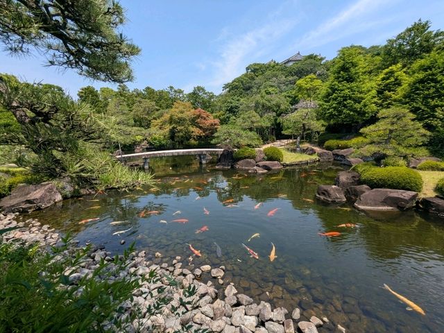 姬路 | 好古園 姬路城西御屋敷跡庭園