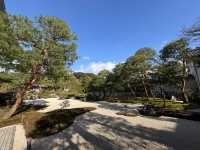 足立美術館（日本第一庭院）