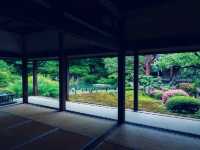 京都🇯🇵青蓮院