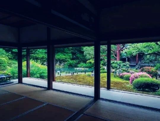 京都🇯🇵青蓮院