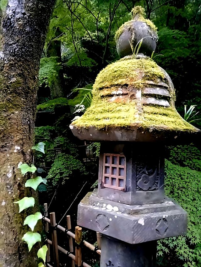 ขอถูกหวยที่ Nanzoin Temple✨️