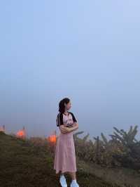 Yun Lai Viewpoint➖Misty Mountains and Tea Mornings 🌫️