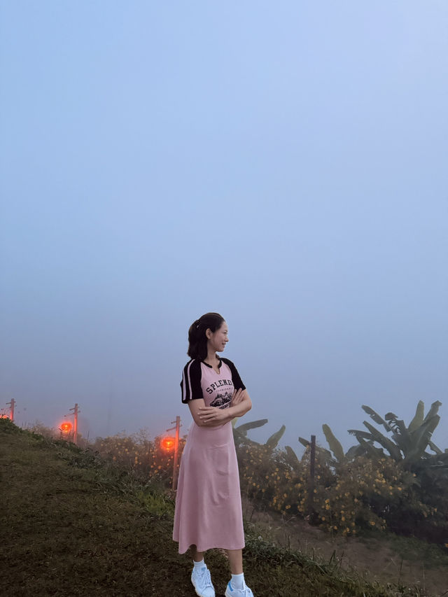 Yun Lai Viewpoint➖Misty Mountains and Tea Mornings 🌫️