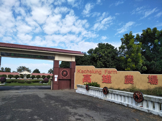 高雄農場小旅行：走入田野間的療癒時光