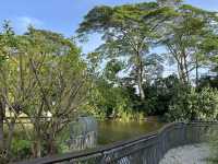 🌿 Morning Escape to Nature at Sungei Buloh Wetland Reserve 🐊🦅🌞