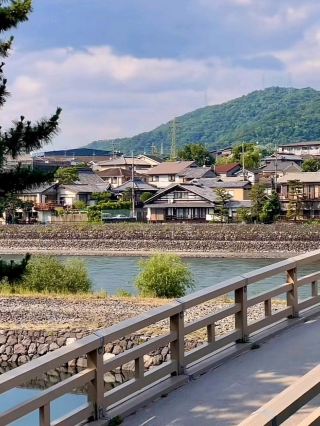 Uji: The Green Tea City