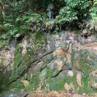 Todoroki Valley (Setagaya)