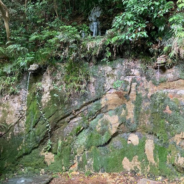 Todoroki Valley (Setagaya)