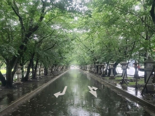 가고시마의 소교토 치란~!