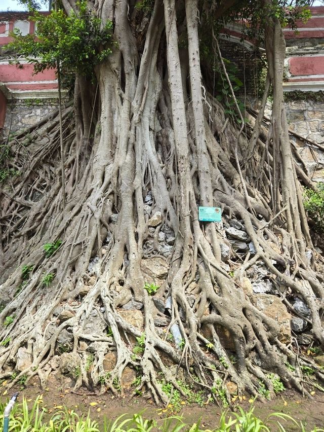 好有歐陸特色的加思欄花園