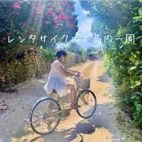 🌺1日で楽しむ、竹富島“感動映え旅”モデルプラン🏝️