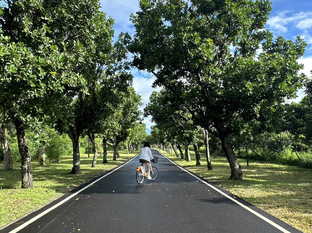 台東森林公園