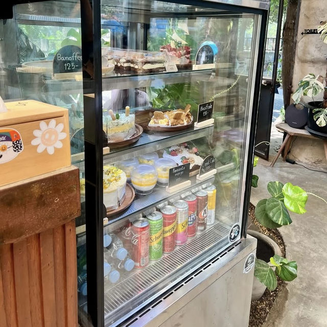 🎯 Venvala Cafe & Space 