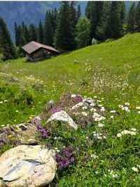 Bernese Oberland Hiking Trails
