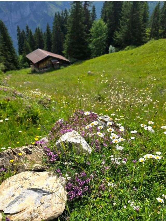 Bernese Oberland Hiking Trails