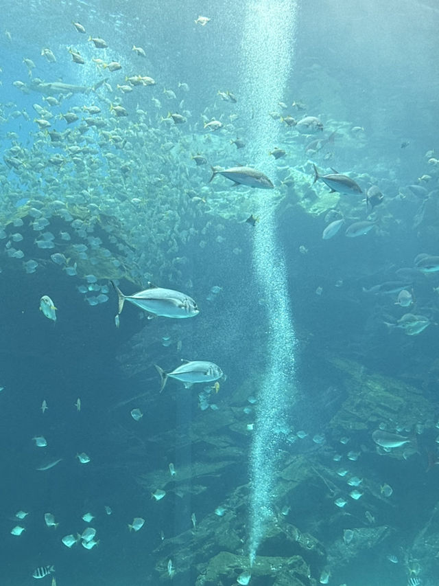 虛實交織的平行宇宙：桃園Xpark