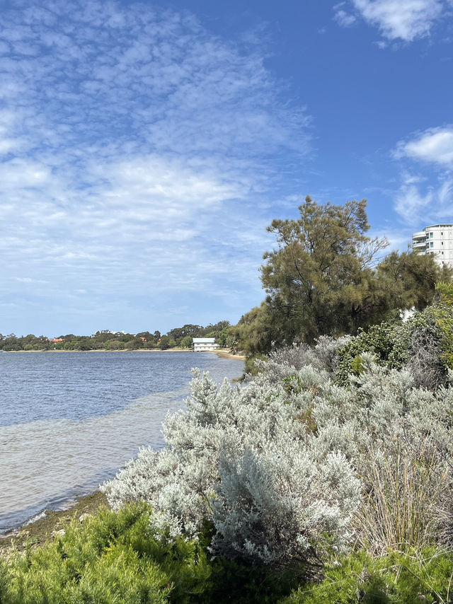 💙 Perth’s Iconic Blue Boat House: Simplicity Meets Serenity 🛶🌊