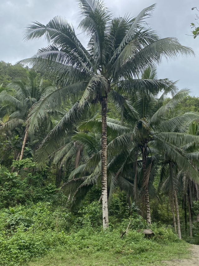 세부 여행 일정 공유 🇵🇭❤️